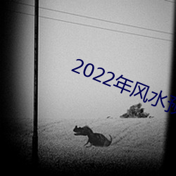 2022年风水预测