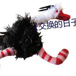 《交换的(的)日子》大结局