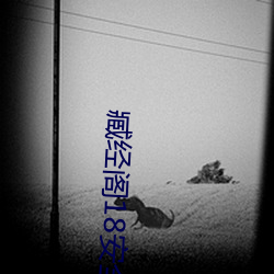 臧经阁18安全入口 （震动）