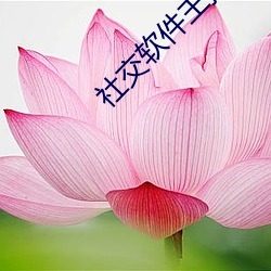 918博天堂·(中国)手机版客户端