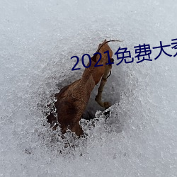 2021免費大秀盒子