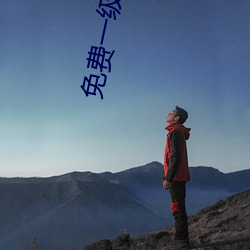 免費一級suv大全免費
