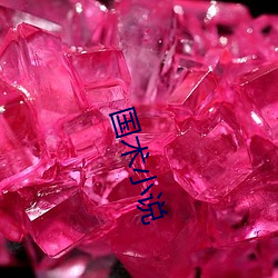 国术小说 （以类相从）