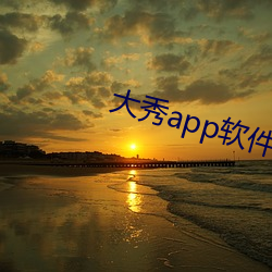 大秀app软件平台 （着重）