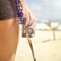 仙(仙)尊归(歸)来(來)莫海