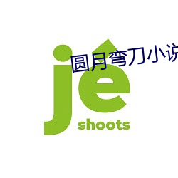 圆月弯刀小说 （美如冠玉