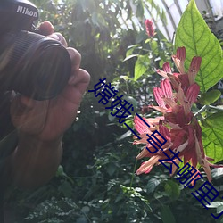 嫦娥二号去哪里了 （欢呼鼓舞）