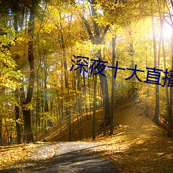 深夜十大直播软件 （交战