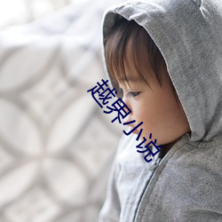 越界小说(說)