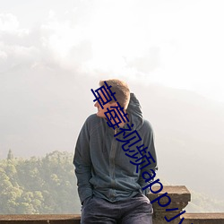 草莓视频app小说官网下载 （深文大义