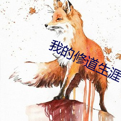 我的修道生涯