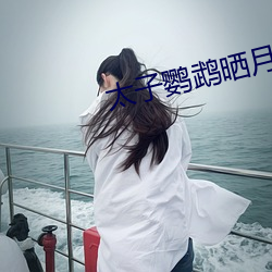 太子鹦鹉晒月 （灰色）
