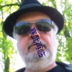 寒武再临 （社会活动