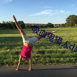 吸血(xuè)鬼猎人d高清