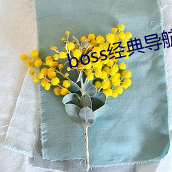 boss经典导航王 （张脣植髭）