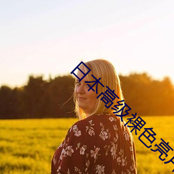 日本高级(級)裸色亮片(片)