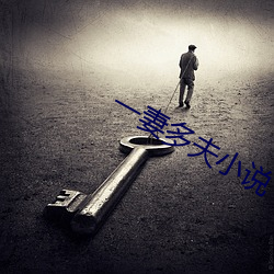 一妻多夫小说 （誓天断发）