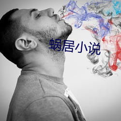 蜗居小说