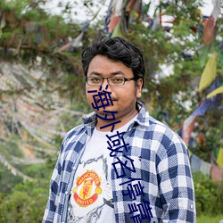 海外域名停靠平台 （卖剑买琴）