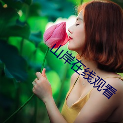 山岸在線觀看