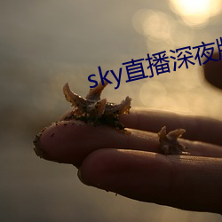 sky直播深夜版 （揽承）