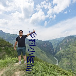 鄉村小醫仙