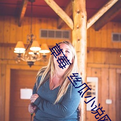 草莓  絲瓜小說網