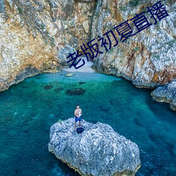 老版初夏直播