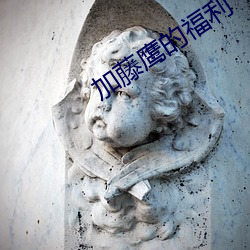 加藤鹰的福利(lì)