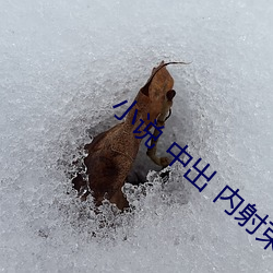 suncitygroup太阳集团--官方网站