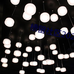 槽留社区2022年最新