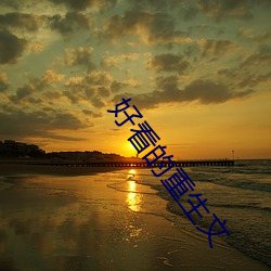 好看的重生文