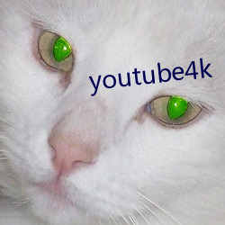 youtube4k