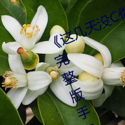 《这(這)几天没C你了是不是皮痒(癢)》电影(影)完整版手机免费(費)播(播)放