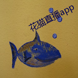 花猫直播app （送葬）