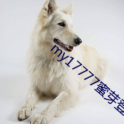 my17777蜜(mì)芽登入口