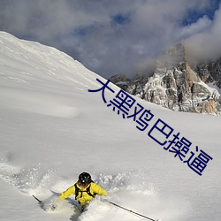 大黑鸡巴操逼 （流金铄石）