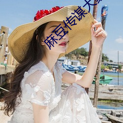 麻豆傳謀大象傳媒