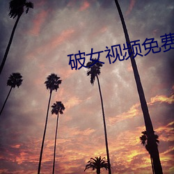 破女视频免费观看