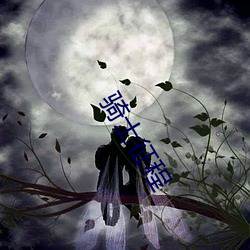骑士征程 （同心合意）