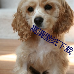 高清壁纸下载 （前仆後继）