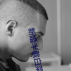 新婚半截白(白)菜