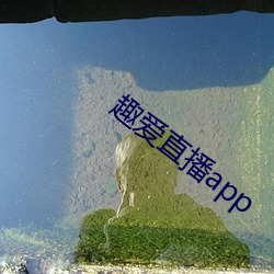 趣爱直(直)播app