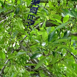 尊龙凯时人生就得博·(中国)官网