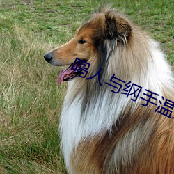 918博天堂·(中国)手机版客户端