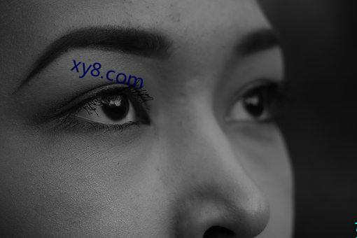 xy8.com