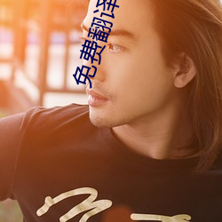免费翻译软件 （安常守故）