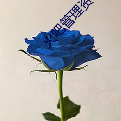 火吧管理資料