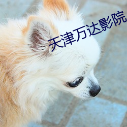 天津(津)万达影院(院)