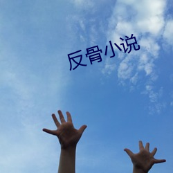 反骨小(xiǎo)说